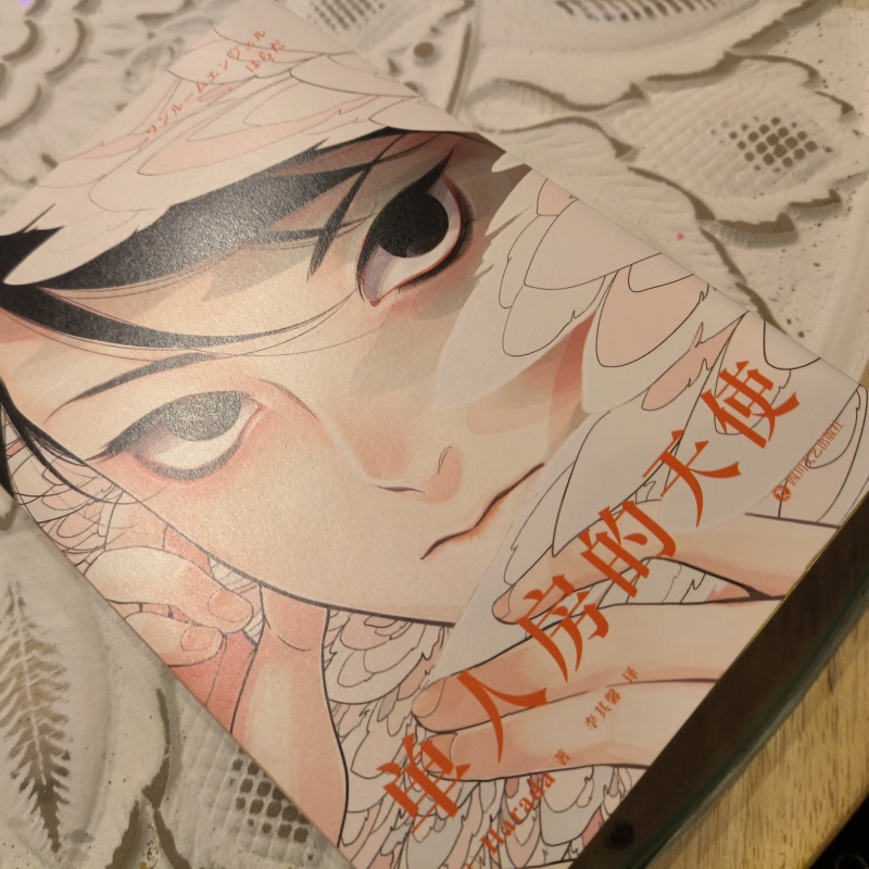Japanese Single Room Angel Ori - Japanese Lifestyle Books recension och pris